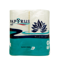 Soft Papyrus 3ply paper towel 2pcs